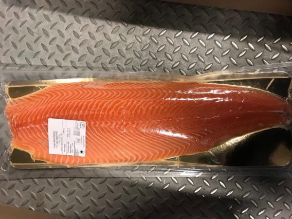 Frozen Norwegian Salmon Fillet